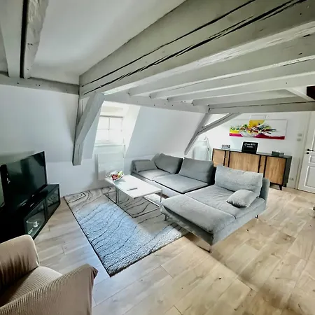 Daire Elegant Cocon En Plein Centre Haguenau